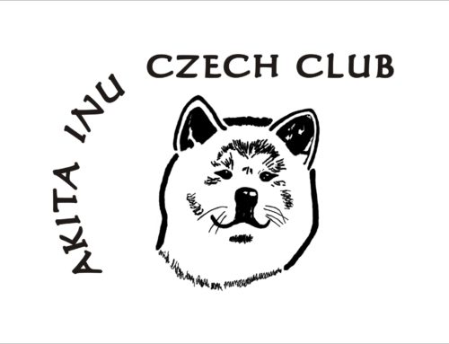 Klubová výstava Akita Inu Czech Club 13.10.2013